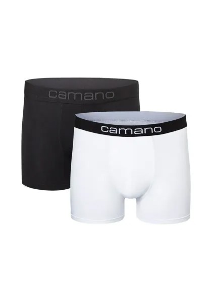 Camano боксеры 