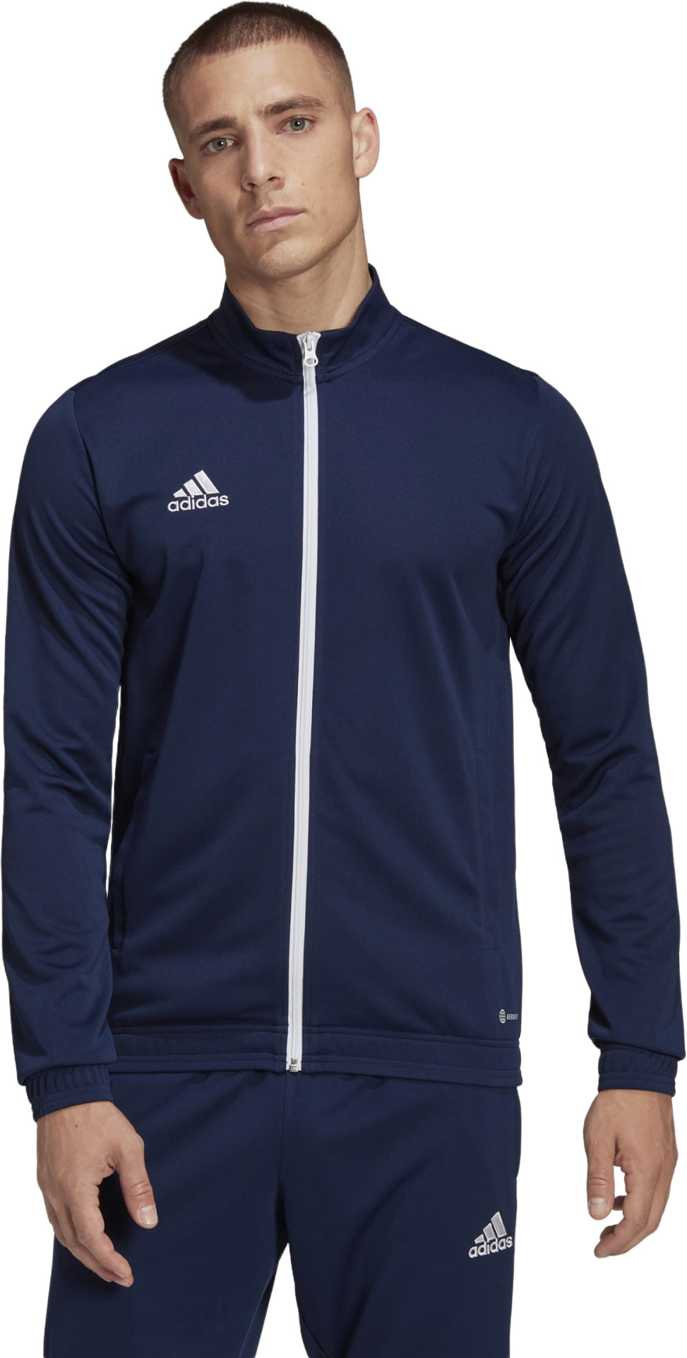 Олимпийка мужская Adidas H57523 синяя XLT