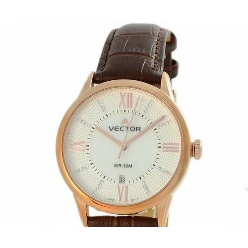 Наручные часы VECTOR Часы VECTOR VC9-0075968 сталь, золотой