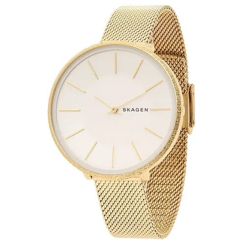 Наручные часы SKAGEN Basic SKW2722, золотой, белый