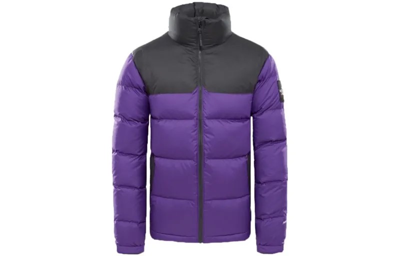 Коллекция 1992 года, пуховик мужской, фиолетовый The North Face, фиолетовый