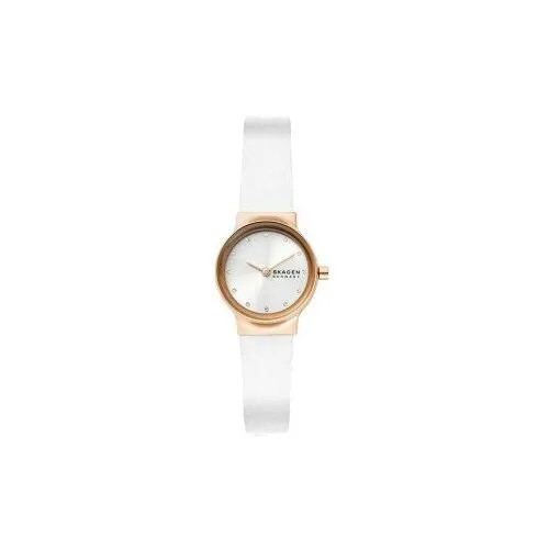 Наручные часы Skagen SKW3029