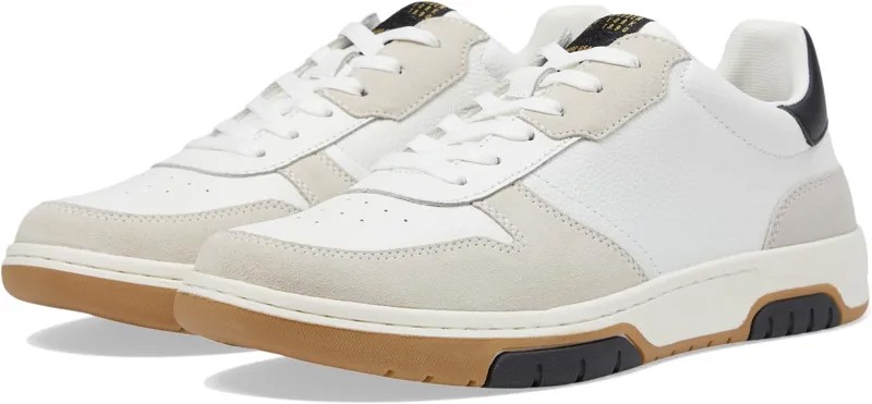 Кроссовки Steve Madden Maxtonn, цвет White Ecru