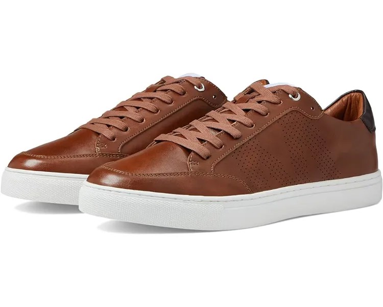 Кроссовки Steve Madden Sammit, цвет Cognac