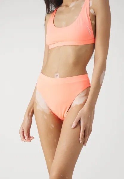 Плавки бикини SOLID HI WAIST BOTTOM Speedo, цвет disco peach