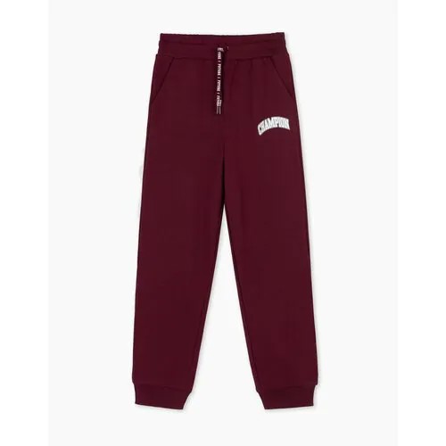 Брюки спортивные Gloria Jeans, размер 4-5л/110 (30), бордовый