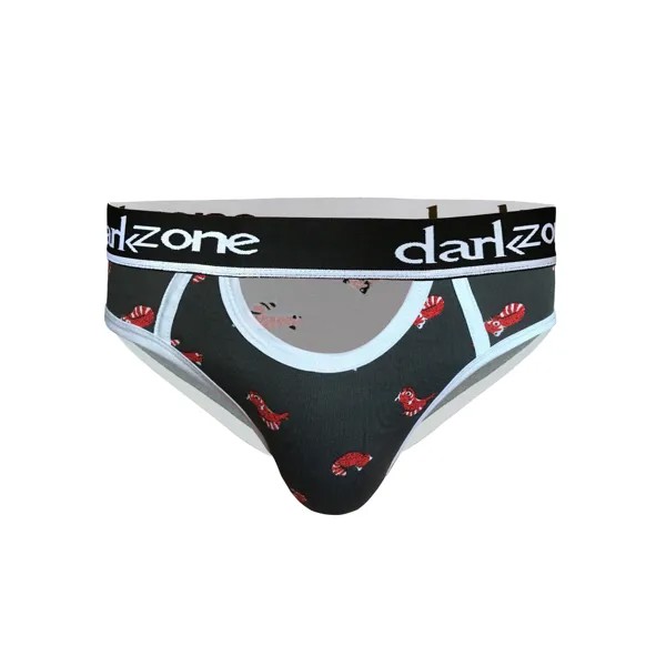 Трусы мужские DARKZONE DZN6264 серые L