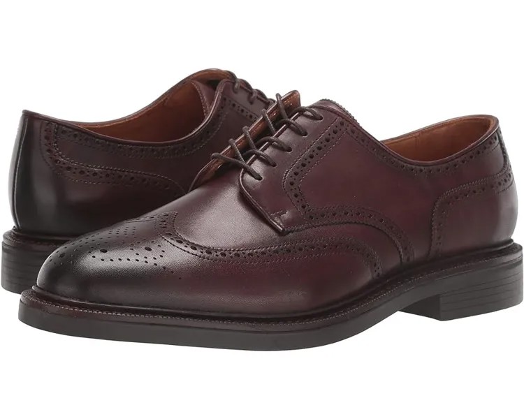 Оксфорды Polo Ralph Lauren Asher Wing Tip, цвет Polo Brown Calf Leather