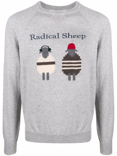 Cenere GB джемпер Radical Sheep