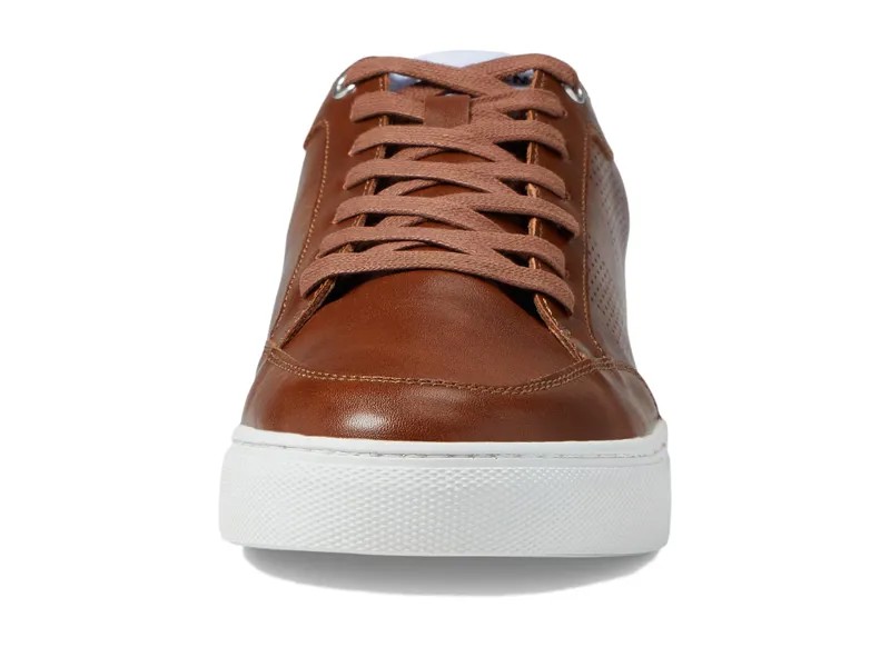 Кроссовки Steve Madden Sammit