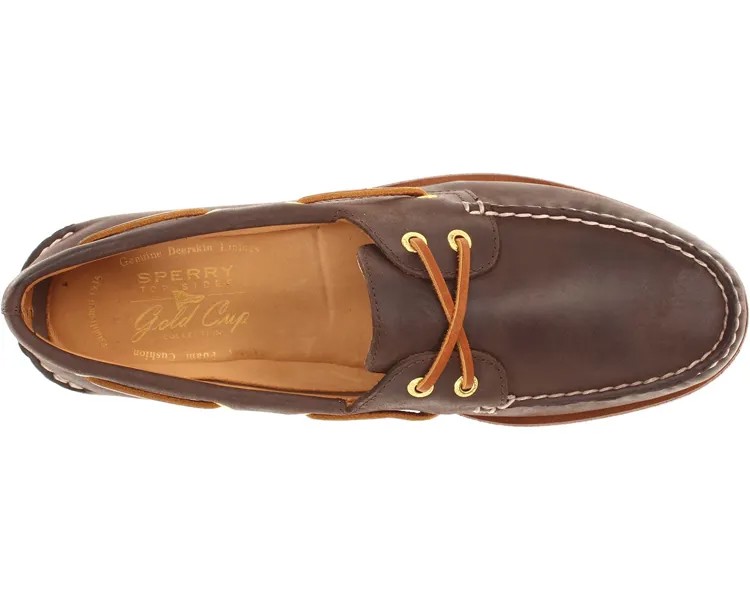 Лодочные туфли Gold Cup A/O 2-Eye Sperry, коричневый