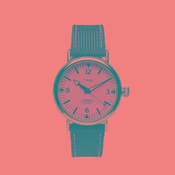 Наручные часы Timex Standard