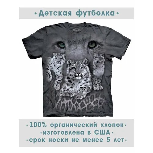 Футболка The Mountain, размер S-Y, серый