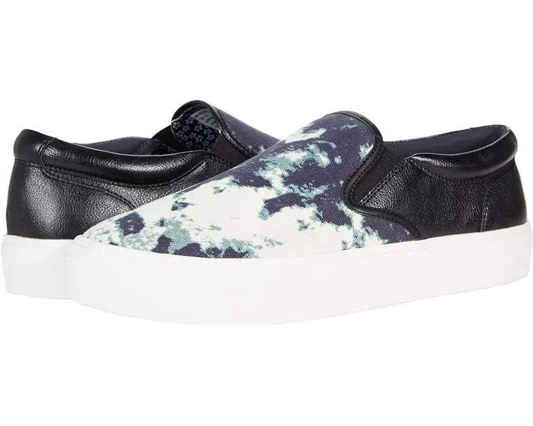 Кроссовки Steve Madden Allics, цвет Black Canvas