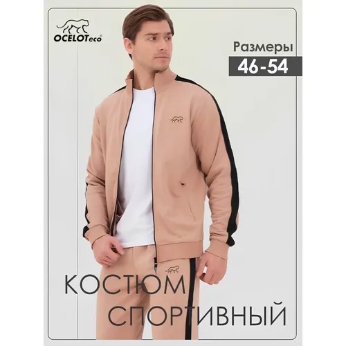 Костюм спортивный OCELOT eco, размер 50, бежевый