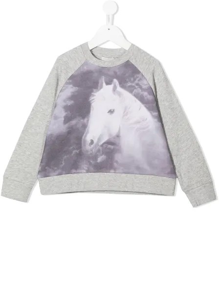 Stella McCartney Kids толстовка с принтом