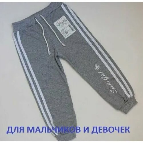 Брюки размер 1040, серый