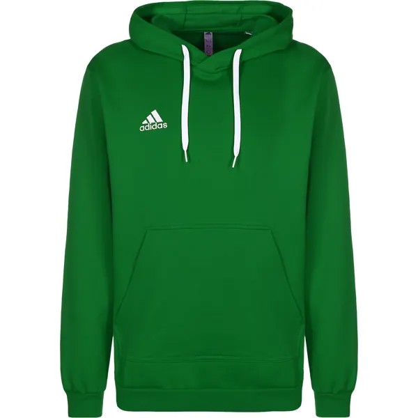 Толстовка adidas Performance Trainingskapuzenpullover Entrada 22, цвет grün/weiß