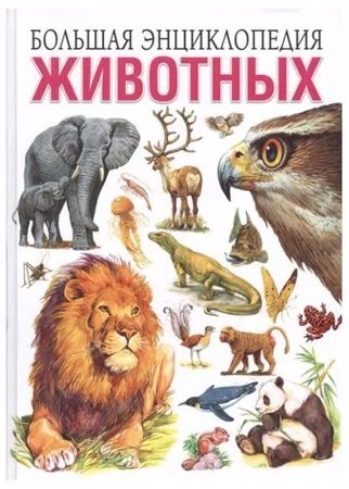 Скиба Т., Рублев С. 