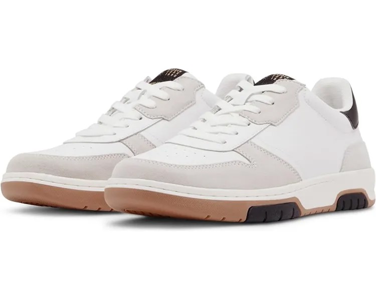 Кроссовки Steve Madden Maxtonn, цвет Taupe