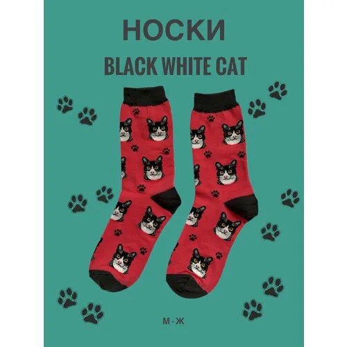 Носки SockDaddy, размер 36/43, красный, черный