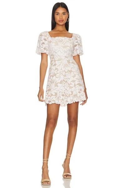 Платье BCBGMAXAZRIA Lace Short Evening, цвет Natural