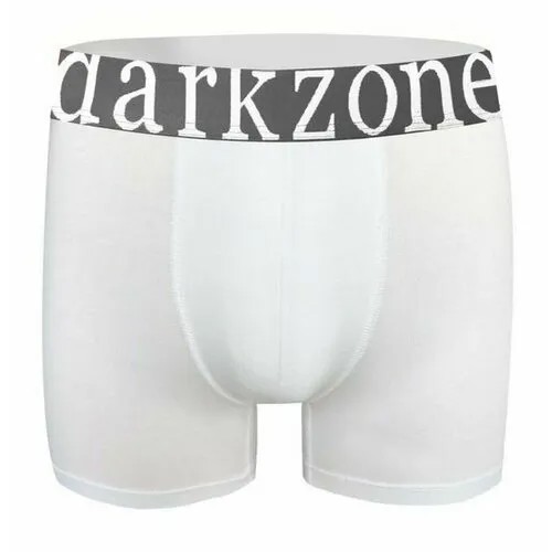 Трусы darkzone, размер M, белый