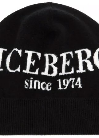 Шапка Iceberg