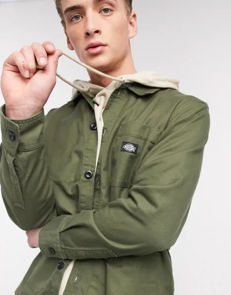 Рубашка навыпуск хаки Dickies-Зеленый