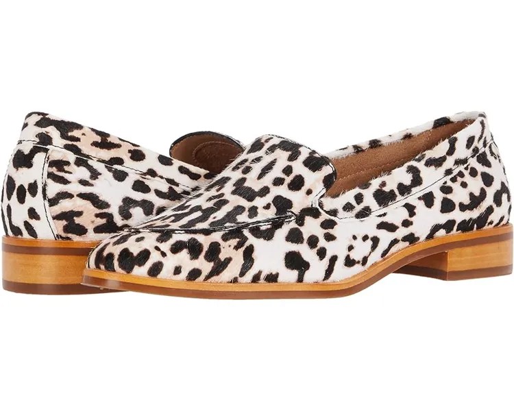 Лоферы Aerosoles East Side, цвет Bone Leopard