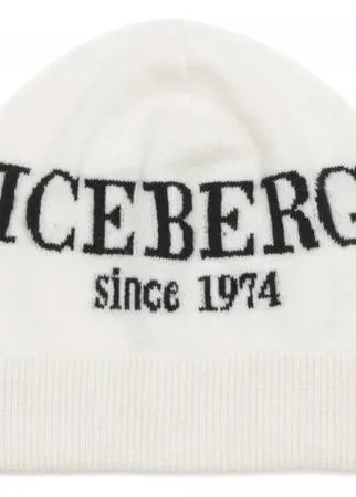 Шапка Iceberg