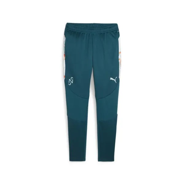 Спортивные брюки PUMA 
