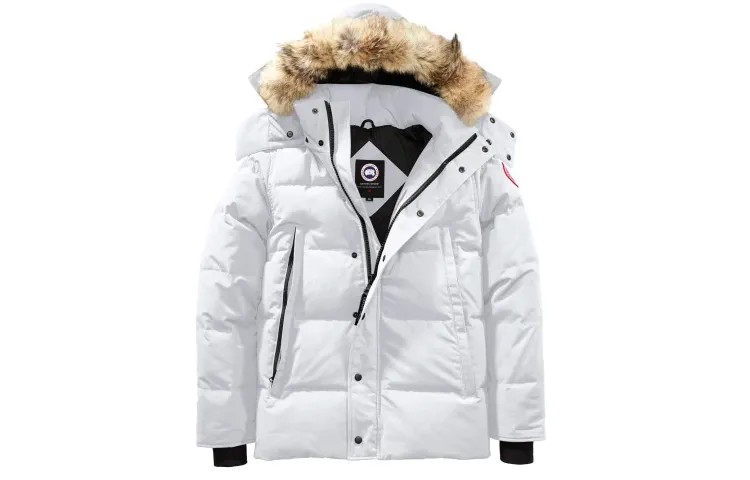 Мужской пуховик Canada Goose, Белый
