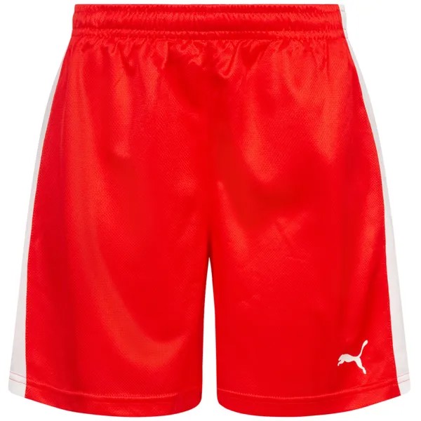 Женские гандбольные шорты DHF Дания PUMA