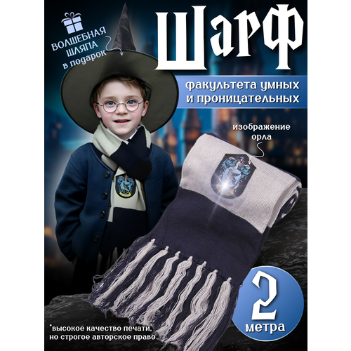 Зимний шарф по мотивам фильма Гарри Поттер 200х20 см цвет синий/серый