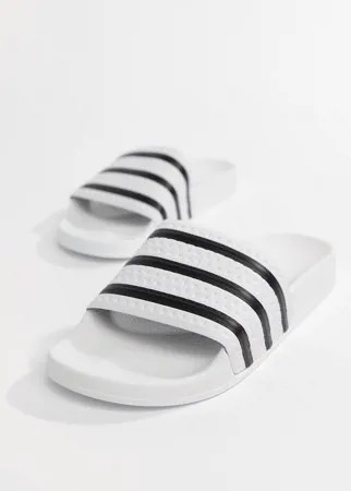 Белые шлепанцы adidas Originals Adilette 280648-Белый