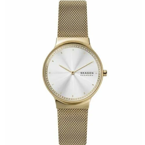 Наручные часы SKAGEN, серебристый