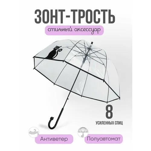 Зонт-трость , черный/прозрачный