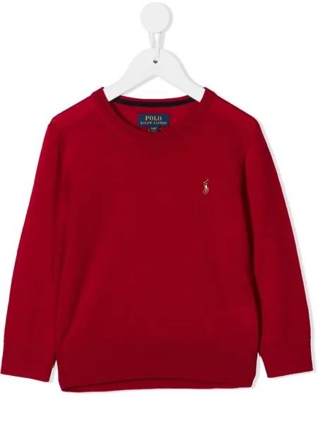 Ralph Lauren Kids трикотажный джемпер с круглым вырезом