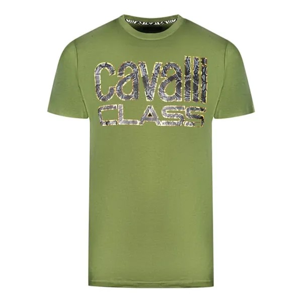 Футболка со змеиным логотипом Cavalli Class, зеленый