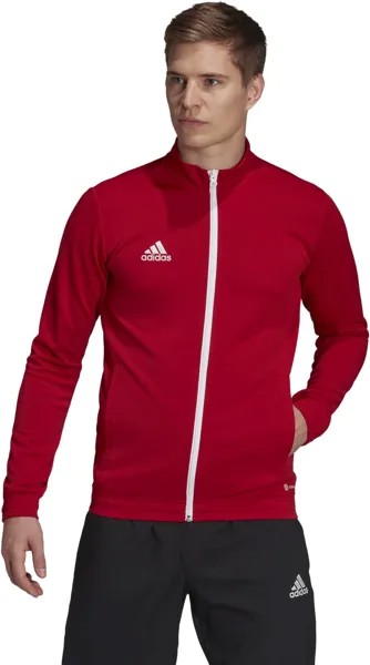 Олимпийка мужская Adidas H57537 красная XLT