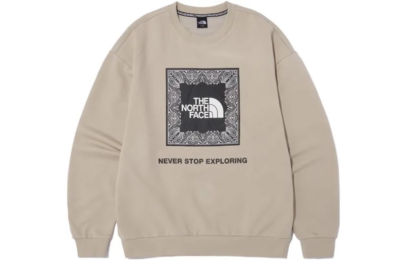 Мужские худи и свитшоты THE NORTH FACE, цвет Brown