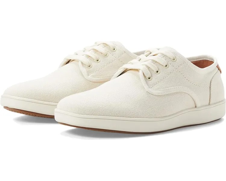 Кроссовки Steve Madden Fenta, цвет Cream Fabric