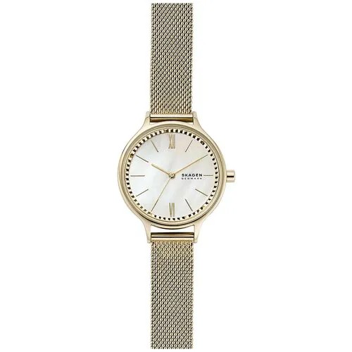 Наручные часы Skagen SKW2907