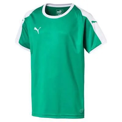Футболка Puma Liga Logo с круглым вырезом и короткими рукавами для мальчиков, молодежная, зеленая 703418-05
