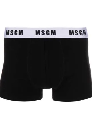 MSGM боксеры с логотипом на поясе