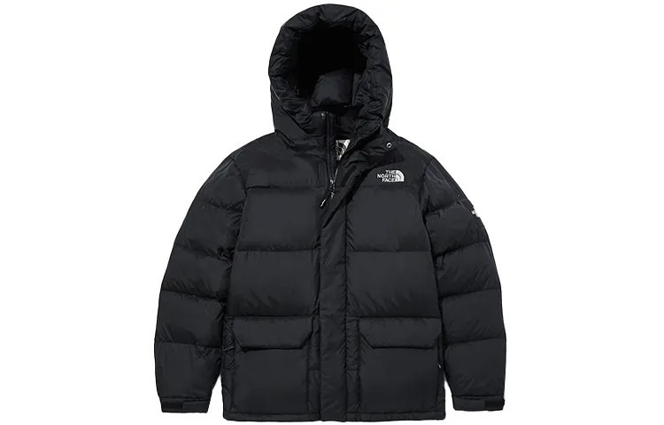 THE NORTH FACE Мужской пуховик, цвет Black