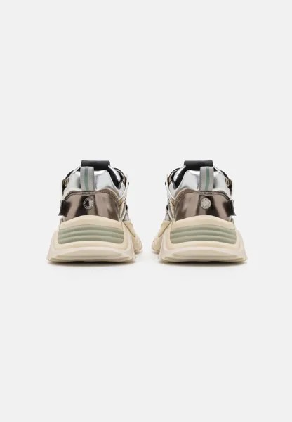 Кроссовки на шнуровке KINGDOM-E Steve Madden, золото