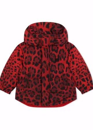 Dolce & Gabbana Kids пуховик с леопардовым принтом