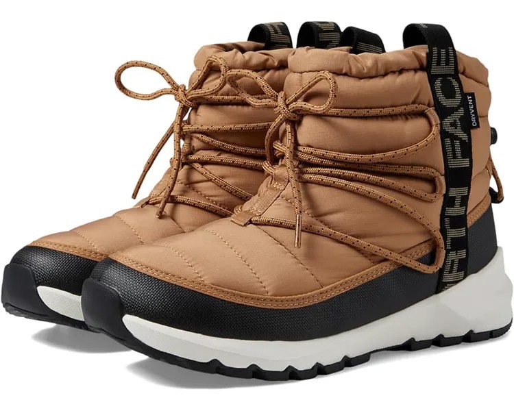 Ботинки The North Face ThermoBall Lace-Up Waterproof, цвет Almond Butter/TNF Black